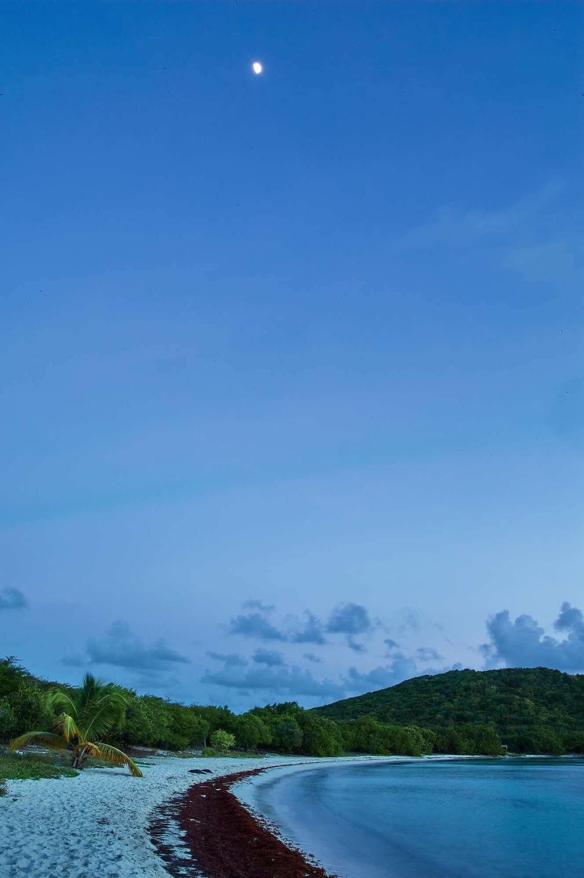 Concordia Eco Resort Экстерьер фото